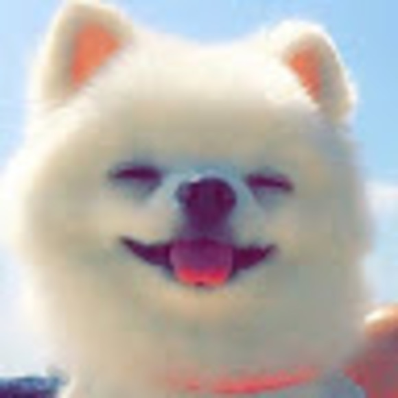 suipyun